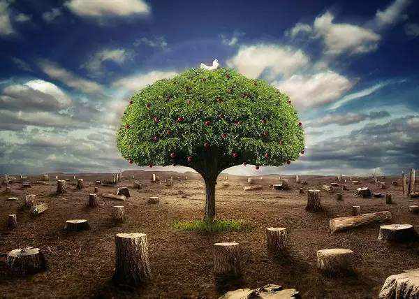 第三方環(huán)境檢測(cè)機(jī)構(gòu) 第三方環(huán)境檢測(cè)機(jī)構(gòu)