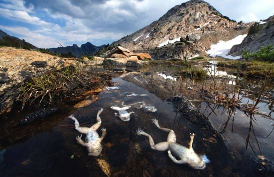 環(huán)境檢測(cè)機(jī)構(gòu) 環(huán)境檢測(cè)機(jī)構(gòu)