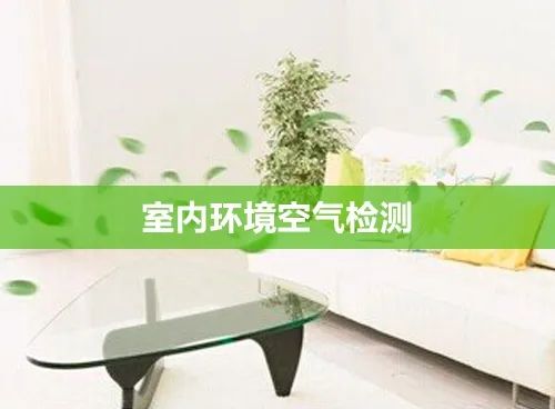 室內(nèi)空氣檢測 室內(nèi)空氣檢測