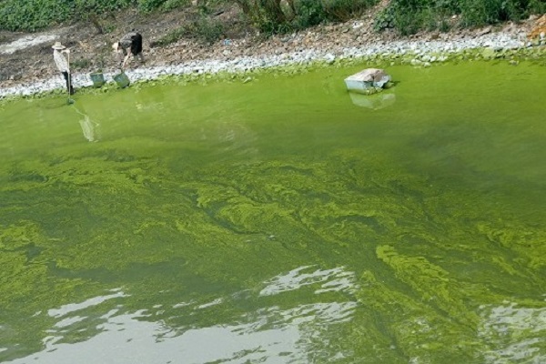 深圳水質(zhì)檢測(cè)公司 第三方 深圳水質(zhì)檢測(cè)公司 第三方