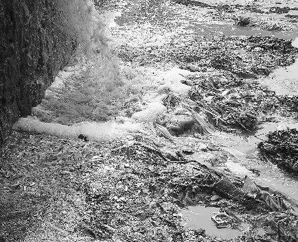 水質(zhì)檢測(cè)機(jī)構(gòu) 水質(zhì)檢測(cè)機(jī)構(gòu)