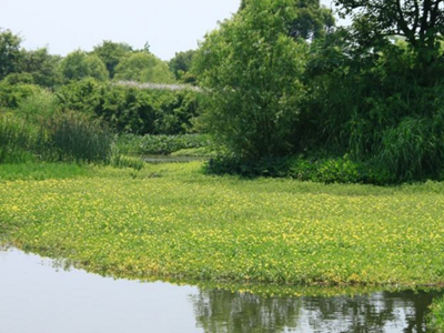 深圳水質(zhì)檢測(cè) 深圳水質(zhì)檢測(cè)