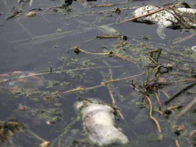 深圳水質(zhì)檢測(cè) 深圳水質(zhì)檢測(cè)