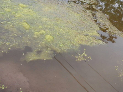 深圳水質(zhì)檢測(cè) 深圳水質(zhì)檢測(cè)