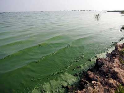 第三方水質(zhì)檢測(cè)公司 第三方水質(zhì)檢測(cè)公司