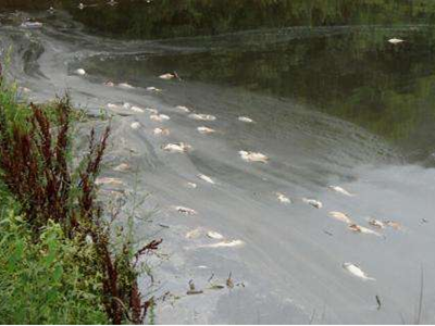 深圳水質(zhì)檢測機(jī)構(gòu) 深圳水質(zhì)檢測機(jī)構(gòu)