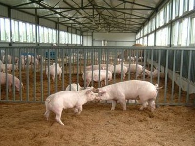 深圳環(huán)境噪音檢測 深圳環(huán)境噪音檢測