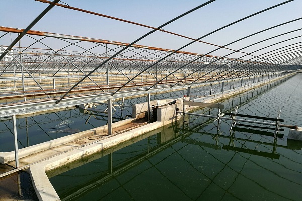 漁業(yè)養(yǎng)殖水質(zhì)檢測(cè) 漁業(yè)養(yǎng)殖水質(zhì)檢測(cè)